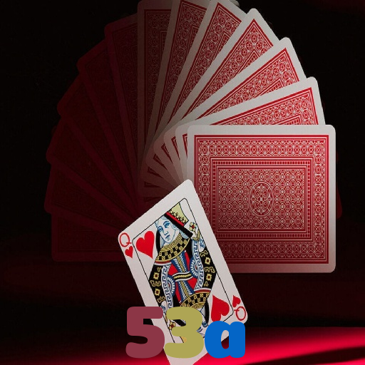 53a