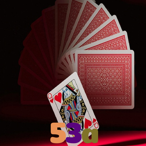 53a