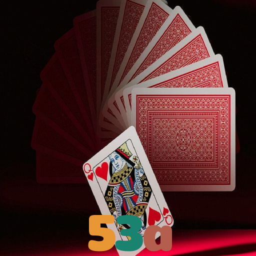 53a