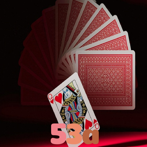 53a